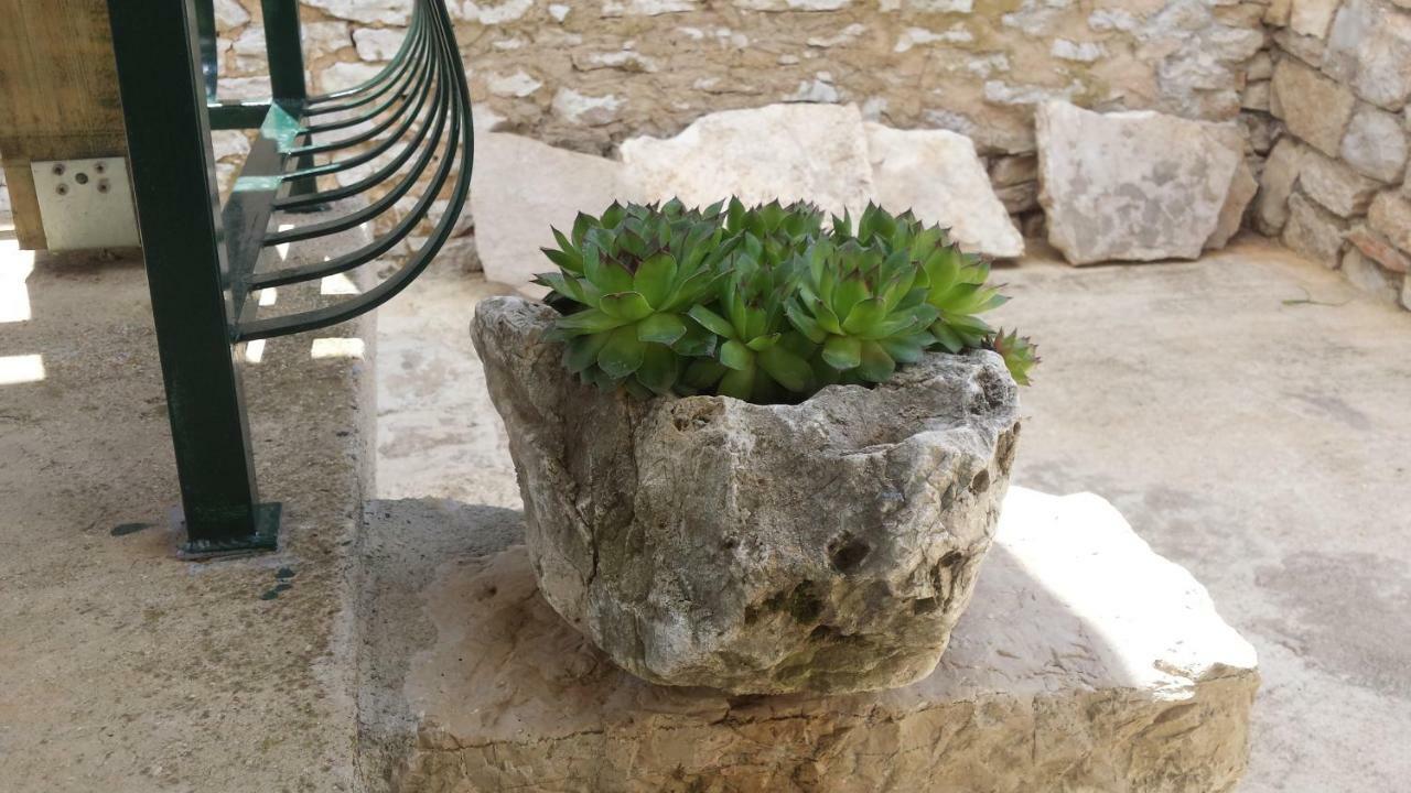 Villa Cetina Milasi エクステリア 写真