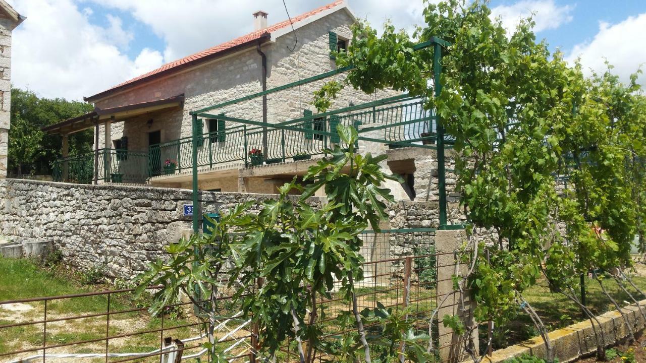 Villa Cetina Milasi エクステリア 写真