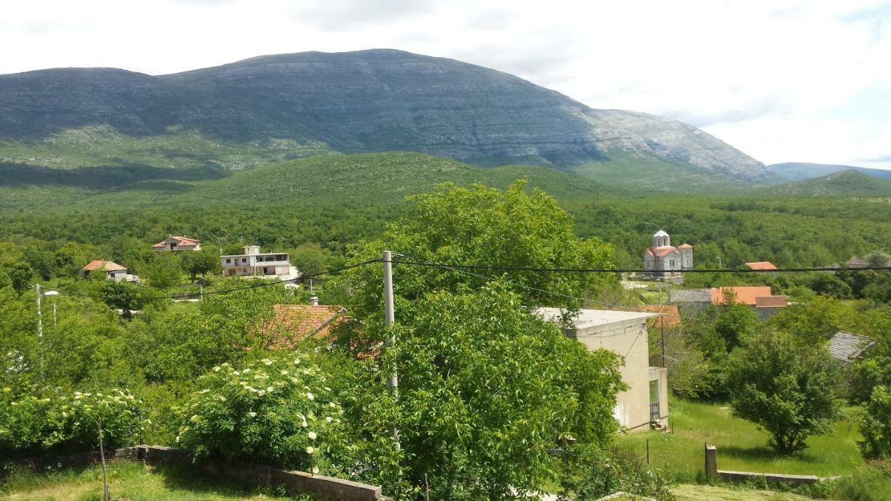 Villa Cetina Milasi エクステリア 写真