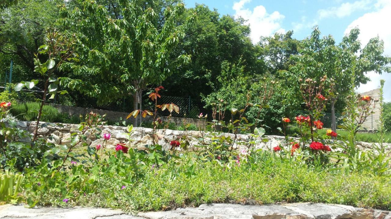 Villa Cetina Milasi エクステリア 写真