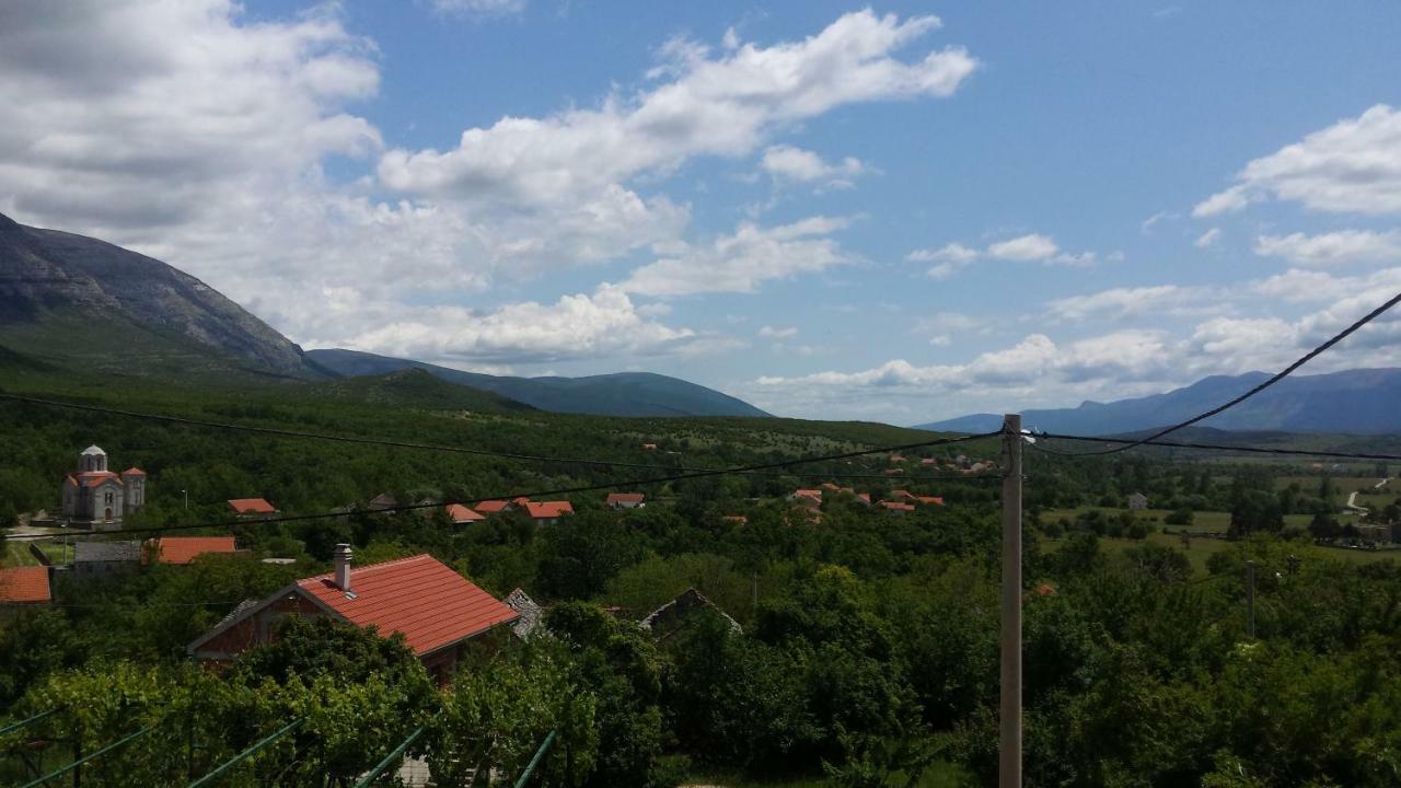 Villa Cetina Milasi エクステリア 写真