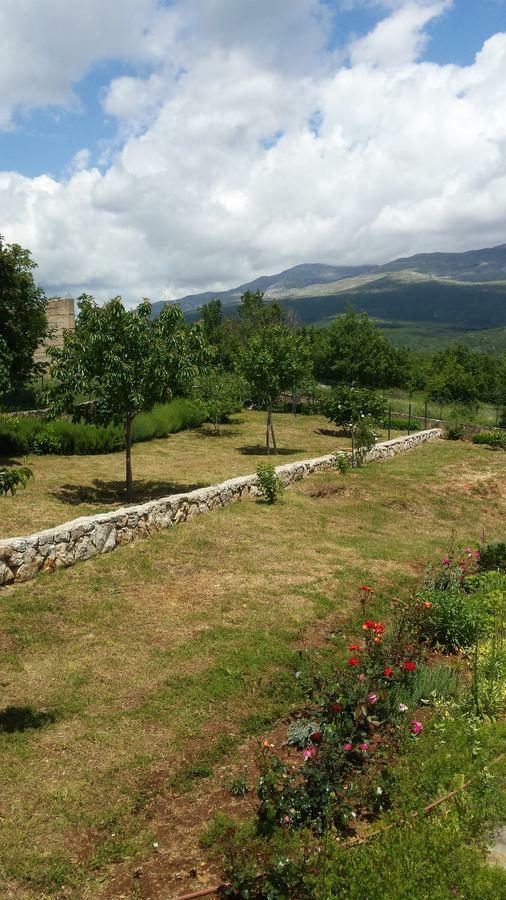 Villa Cetina Milasi エクステリア 写真