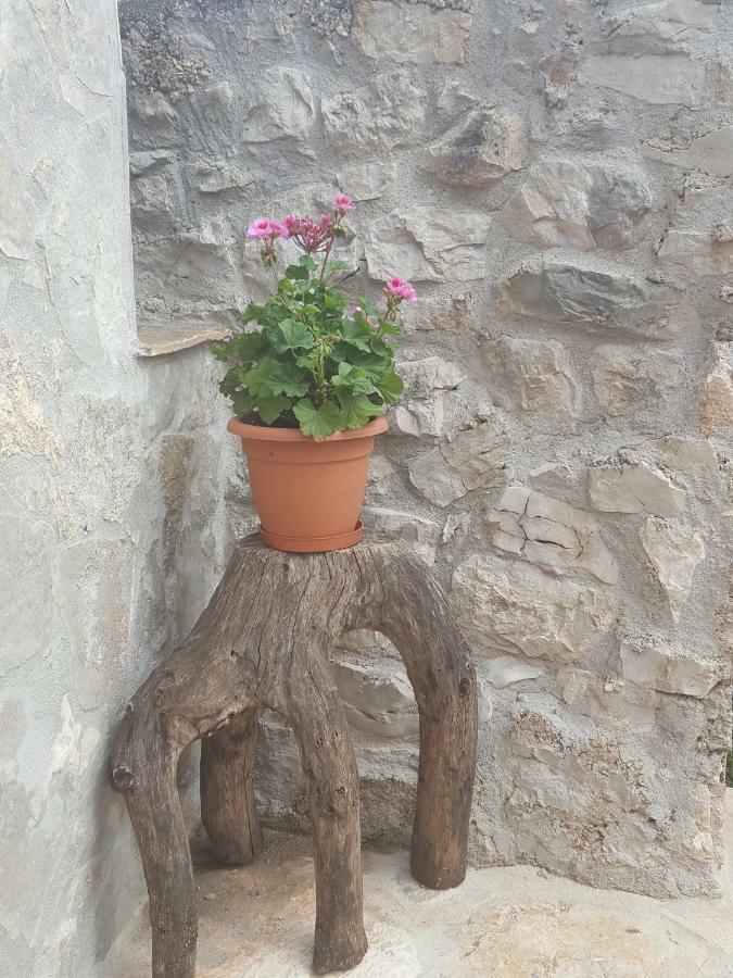 Villa Cetina Milasi エクステリア 写真