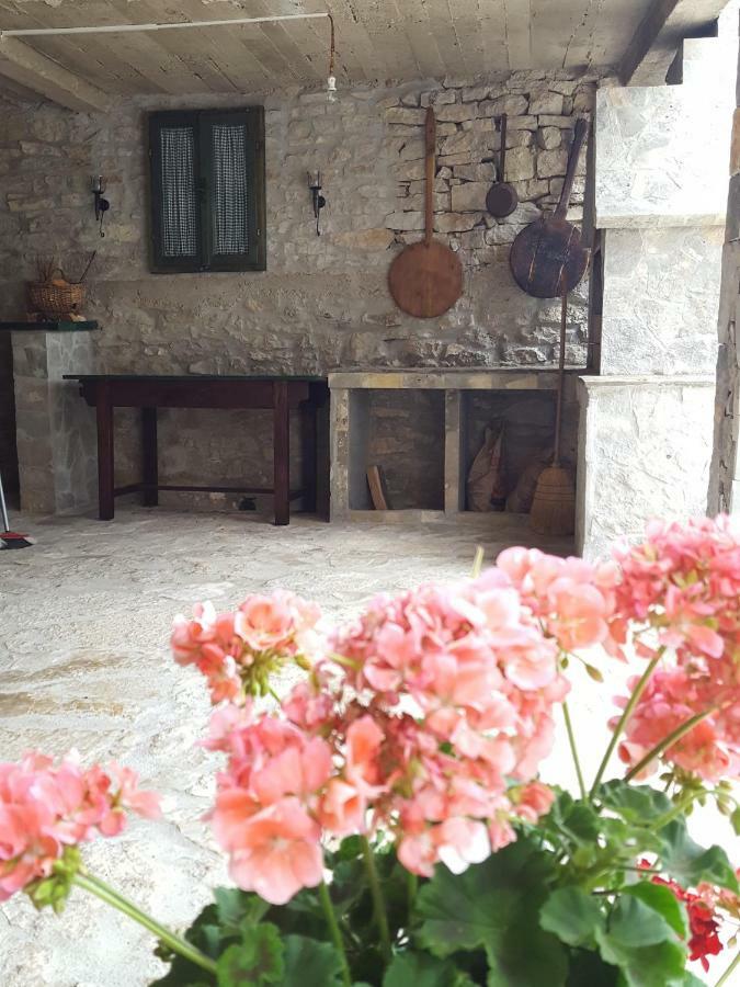 Villa Cetina Milasi エクステリア 写真