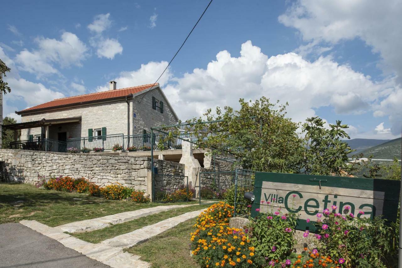 Villa Cetina Milasi エクステリア 写真